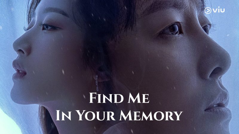 nonton streaming / download find me in your memory sub indo di viu