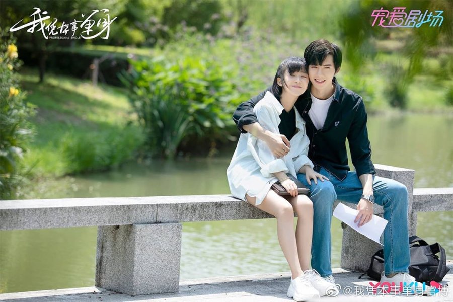 nonton streaming download drama china professional single sub indo viu