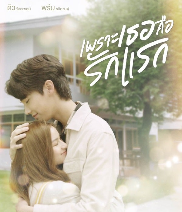 nonton streaming download drama thailand a love so beautiful sub indo viu